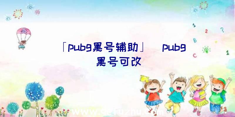 「pubg黑号辅助」|pubg黑号可改